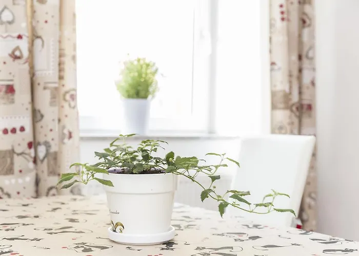 E&e Apartment Laibach