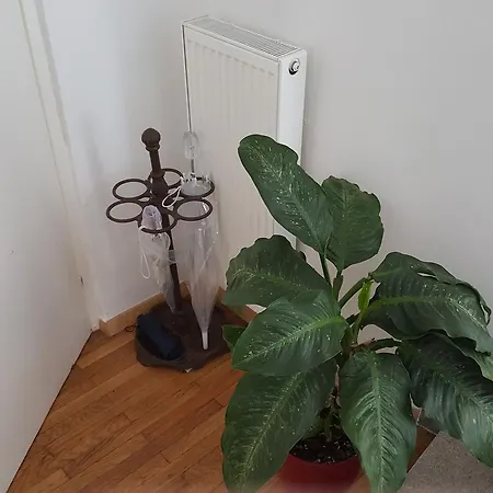 E＆e リュブリャナ